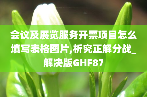 会议及展览服务开票项目怎么填写表格图片,析究正解分战_解决版GHF87