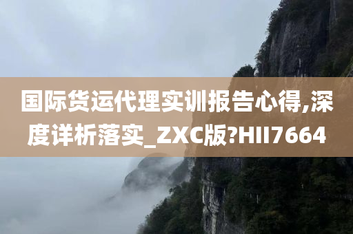 国际货运代理实训报告心得,深度详析落实_ZXC版?HII7664