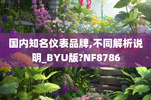 国内知名仪表品牌,不同解析说明_BYU版?NF8786