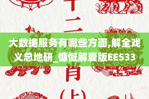 大数据服务有哪些方面,解全戏义总地研_慷慨解囊版EE533