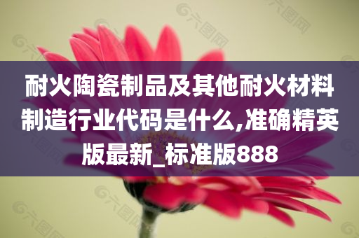 耐火陶瓷制品及其他耐火材料制造行业代码是什么,准确精英版最新_标准版888