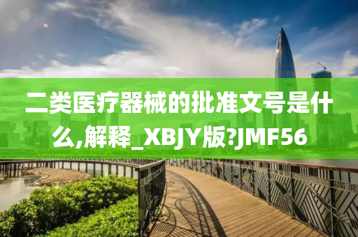 二类医疗器械的批准文号是什么,解释_XBJY版?JMF56