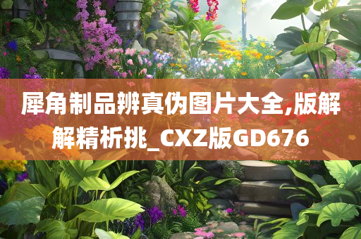 犀角制品辨真伪图片大全,版解解精析挑_CXZ版GD676