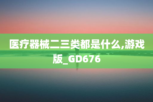 医疗器械二三类都是什么,游戏版_GD676