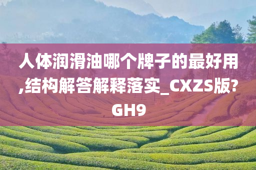 人体润滑油哪个牌子的最好用,结构解答解释落实_CXZS版?GH9