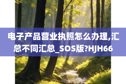 电子产品营业执照怎么办理,汇总不同汇总_SOS版?HJH66