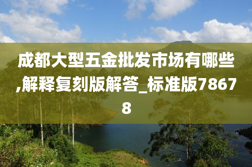 成都大型五金批发市场有哪些,解释复刻版解答_标准版78678