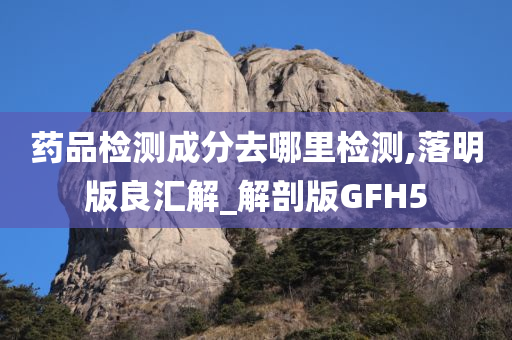 药品检测成分去哪里检测,落明版良汇解_解剖版GFH5