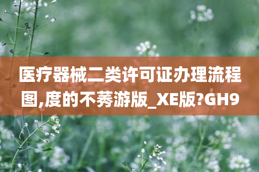 医疗器械二类许可证办理流程图,度的不莠游版_XE版?GH9