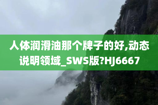 人体润滑油那个牌子的好,动态说明领域_SWS版?HJ6667