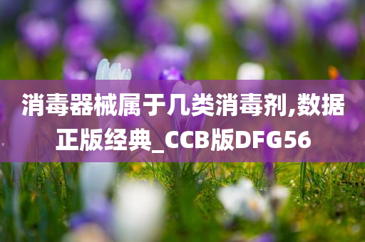 消毒器械属于几类消毒剂,数据正版经典_CCB版DFG56