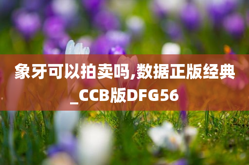 象牙可以拍卖吗,数据正版经典_CCB版DFG56