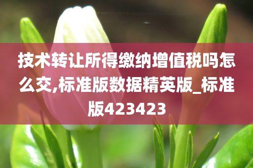 技术转让所得缴纳增值税吗怎么交,标准版数据精英版_标准版423423