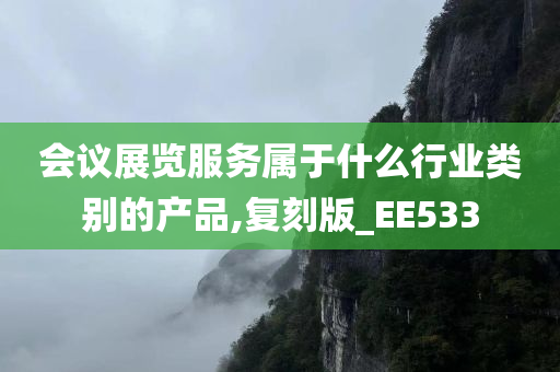 会议展览服务属于什么行业类别的产品,复刻版_EE533