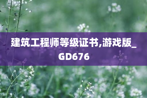 建筑工程师等级证书,游戏版_GD676