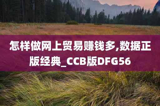 怎样做网上贸易赚钱多,数据正版经典_CCB版DFG56