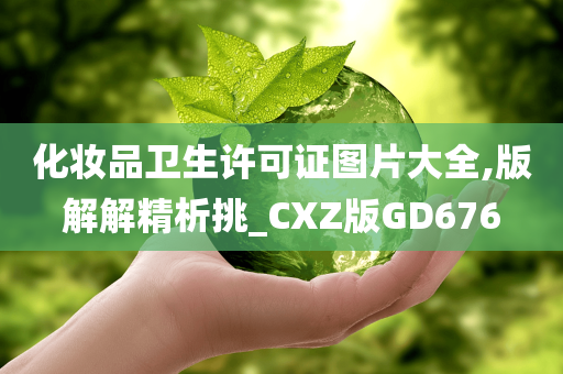 化妆品卫生许可证图片大全,版解解精析挑_CXZ版GD676