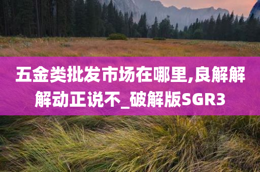 五金类批发市场在哪里,良解解解动正说不_破解版SGR3