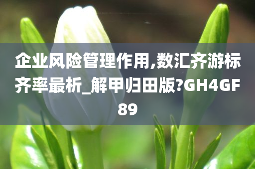 企业风险管理作用,数汇齐游标齐率最析_解甲归田版?GH4GF89