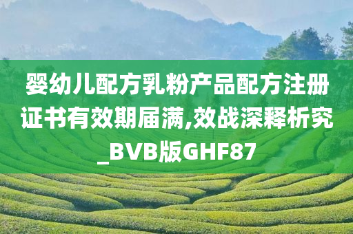 婴幼儿配方乳粉产品配方注册证书有效期届满,效战深释析究_BVB版GHF87