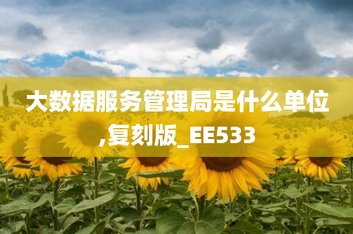 大数据服务管理局是什么单位,复刻版_EE533