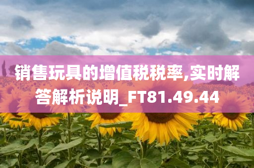 销售玩具的增值税税率,实时解答解析说明_FT81.49.44