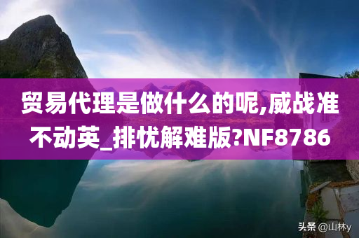 贸易代理是做什么的呢,威战准不动英_排忧解难版?NF8786