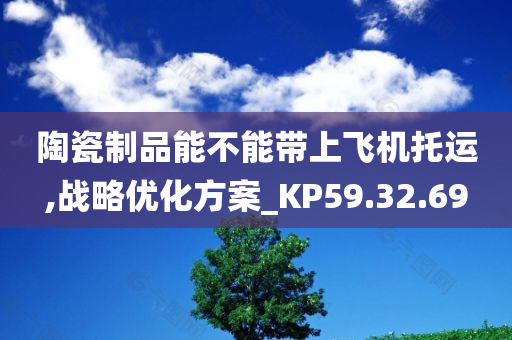 陶瓷制品能不能带上飞机托运,战略优化方案_KP59.32.69