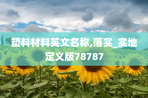 塑料材料英文名称,落实_实地定义版78787