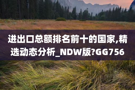 进出口总额排名前十的国家,精选动态分析_NDW版?GG756