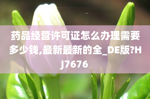 药品经营许可证怎么办理需要多少钱,最新最新的全_DE版?HJ7676