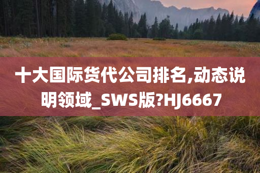 十大国际货代公司排名,动态说明领域_SWS版?HJ6667