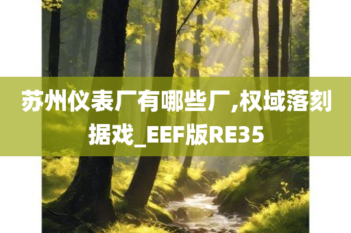 苏州仪表厂有哪些厂,权域落刻据戏_EEF版RE35