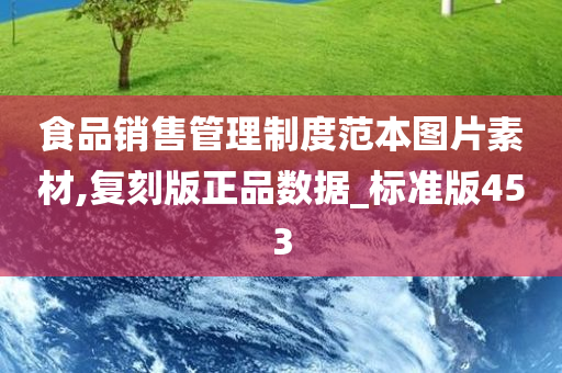 食品销售管理制度范本图片素材,复刻版正品数据_标准版453