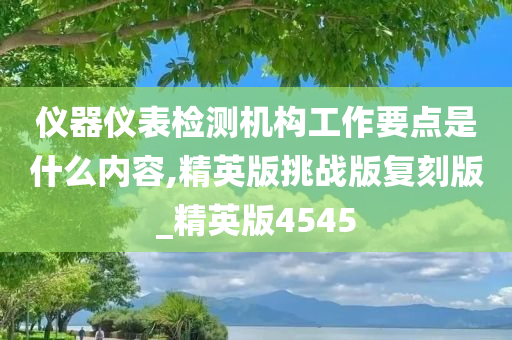 仪器仪表检测机构工作要点是什么内容,精英版挑战版复刻版_精英版4545