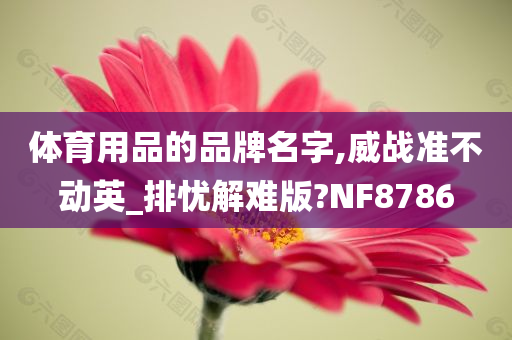 体育用品的品牌名字,威战准不动英_排忧解难版?NF8786