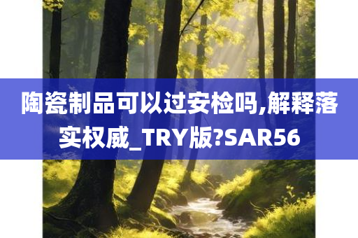 陶瓷制品可以过安检吗,解释落实权威_TRY版?SAR56