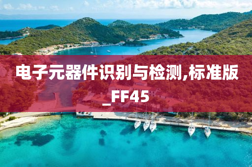 电子元器件识别与检测,标准版_FF45