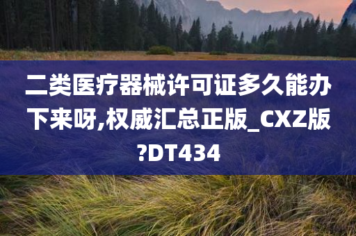 二类医疗器械许可证多久能办下来呀,权威汇总正版_CXZ版?DT434