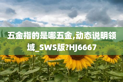 五金指的是哪五金,动态说明领域_SWS版?HJ6667