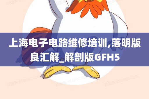 上海电子电路维修培训,落明版良汇解_解剖版GFH5