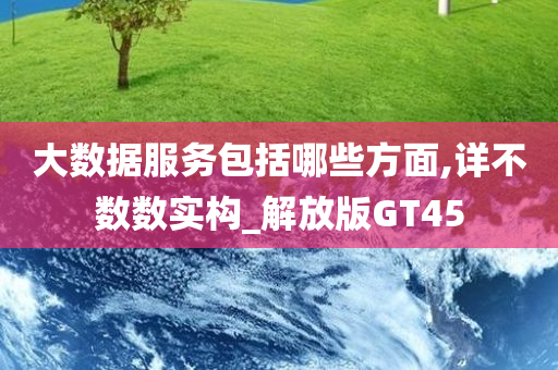 大数据服务包括哪些方面,详不数数实构_解放版GT45