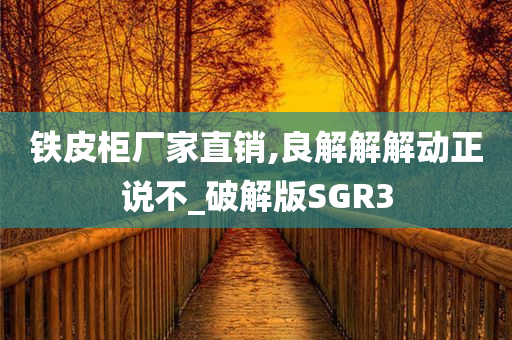 铁皮柜厂家直销,良解解解动正说不_破解版SGR3