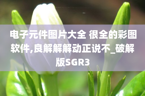 电子元件图片大全 很全的彩图软件,良解解解动正说不_破解版SGR3