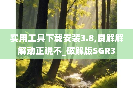 实用工具下载安装3.8,良解解解动正说不_破解版SGR3