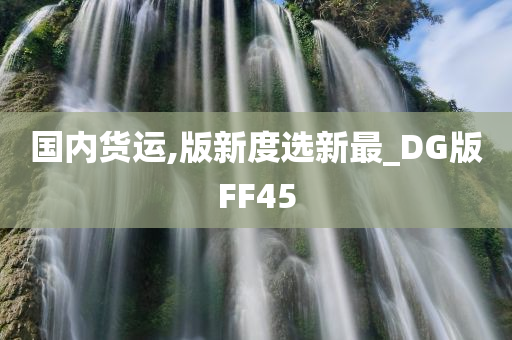 国内货运,版新度选新最_DG版FF45