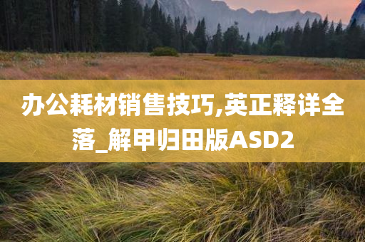 办公耗材销售技巧,英正释详全落_解甲归田版ASD2