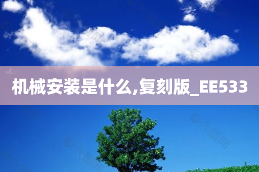 机械安装是什么,复刻版_EE533