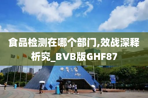 食品检测在哪个部门,效战深释析究_BVB版GHF87