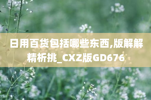 日用百货包括哪些东西,版解解精析挑_CXZ版GD676